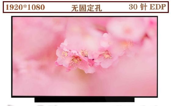 N133HCE-EN1 Innolux 13,3” 1920 (RGB) EXPOSIÇÕES INDUSTRIAIS do LCD do ² de ×1080 330 cd/m