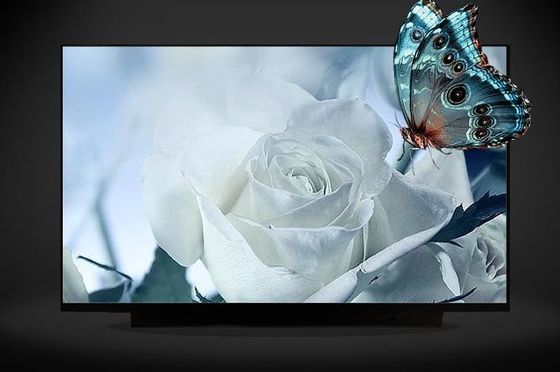 N161HCA-EA3 Innolux 16,1” 1920 (RGB) EXPOSIÇÕES INDUSTRIAIS do LCD do ² de ×1080 300 cd/m