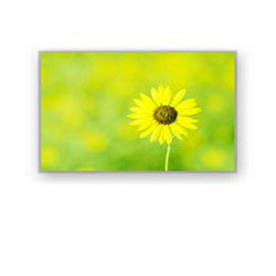 4,0&quot; exposição industrial HSD040I3N1-B00 HannStar de 320×240 4700cd/M2 Lcd